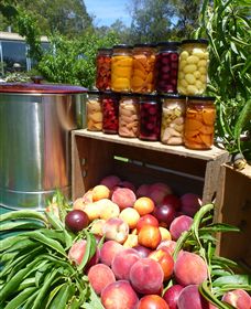 Rayner's Orchard - Accommodation NT 8