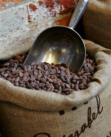 Bright Chocolate - Accommodation NT 5