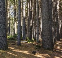 Sugarpine Walk - Accommodation NT