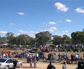 Quirindi Rural Heritage Village - Accommodation NT 0
