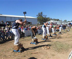 Quirindi Rural Heritage Village - Accommodation NT 1