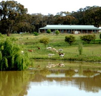 Clearview Alpacas - Accommodation NT