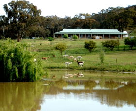 Clearview Alpacas - Accommodation NT 0