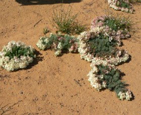 Marchagee WA Accommodation NT