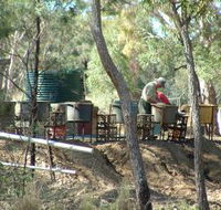 7 Oaks Sapphire Fossicking - Accommodation NT