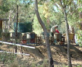 7 Oaks Sapphire Fossicking - Accommodation NT 0