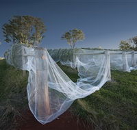 Toppers Mountain Wines - Accommodation NT