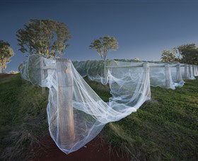 Toppers Mountain Wines - Accommodation NT 0