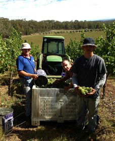 Toppers Mountain Wines - Accommodation NT 2