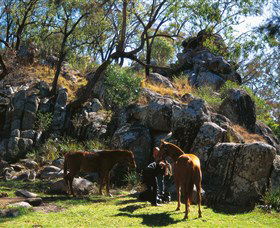  Accommodation NT