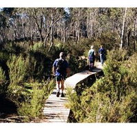 Hume and Hovell Walking Track - Henry Angel Trackhead - NT Tourism