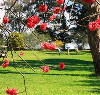 The Yass Golf Club - Accommodation NT