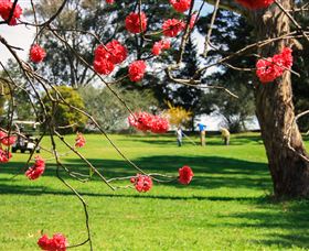 The Yass Golf Club - Accommodation NT 0