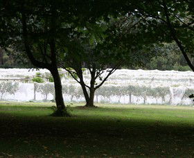 Staindl Wines - Accommodation NT 0