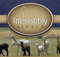 Marchmont Park Alpacas - Accommodation NT