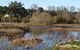 Coolart Wetlands And Homestead - thumb 0