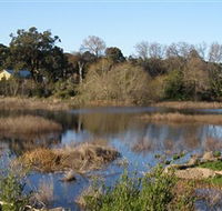Coolart Wetlands and Homestead - Accommodation NT