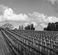 Willow Creek Vineyard - Accommodation NT