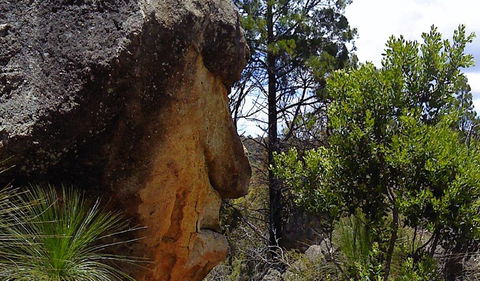 Torrington State Conservation Area - Accommodation NT 1