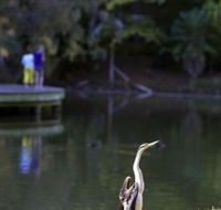Birdwatching in the South Burnett - NT Tourism