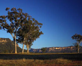 Capertee Valley Bird Trail - Accommodation NT 0
