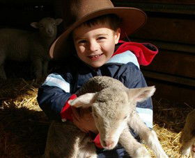 Warrook Farm - Accommodation NT 1