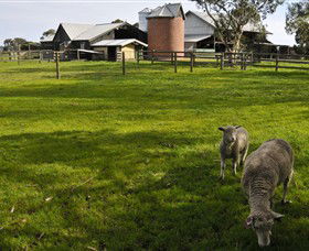 Warrook Farm - Accommodation NT 4