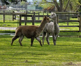 Warrook Farm - Accommodation NT 6