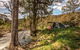 Brindabella National Park - thumb 3