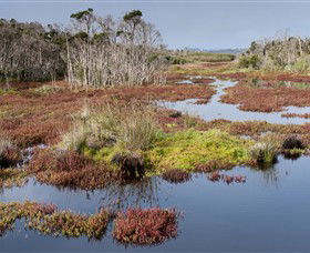 French Island National Park - Accommodation NT 0