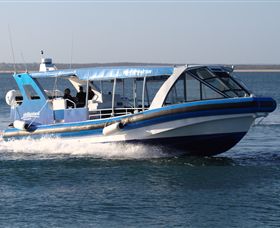 Phillip Island Nature Parks - Accommodation NT 2
