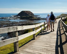 Phillip Island Nature Parks - Accommodation NT 3