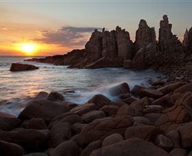 Phillip Island Nature Parks - Accommodation NT 6