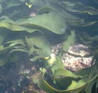 Churchill Island Marine National Park - Accommodation NT