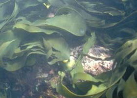 Churchill Island Marine National Park - Accommodation NT 0