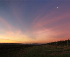 Small Forest Wine - NT Tourism 2