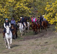 Burnelee Excursions on Horseback - Accommodation NT