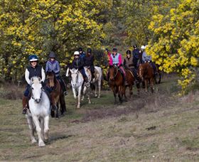 Burnelee Excursions On Horseback - Accommodation NT 0