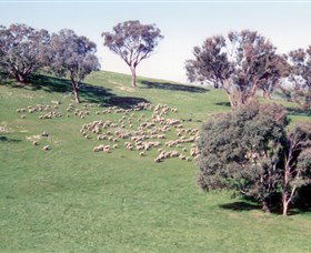 Burnelee Excursions On Horseback - Accommodation NT 2