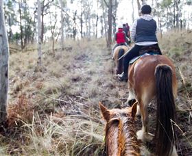 Burnelee Excursions On Horseback - Accommodation NT 1