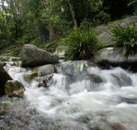 Washpool National Park - Accommodation NT