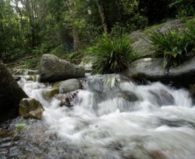 Washpool National Park - Accommodation NT 0
