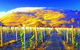 Surveyors Hill Winery - thumb 0