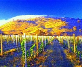 Surveyors Hill Winery - Accommodation NT 0