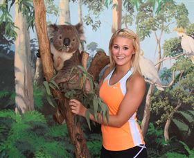 Maru Koala And Animal Park - Accommodation NT 0