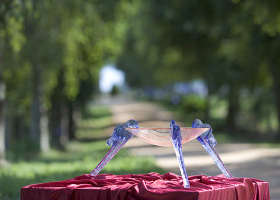 Lillico VIC Accommodation NT