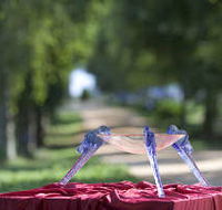 Lillico Glass Studio - Accommodation NT