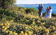 Joseph Banks Conservation Park - thumb 0