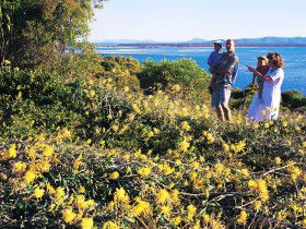 Joseph Banks Conservation Park - Accommodation NT 0