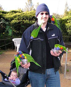 Canberra Walk In Aviary - Accommodation NT 0